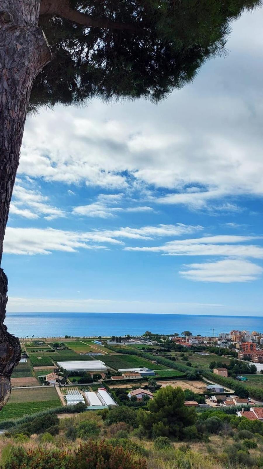 Villa Pura Vida Piscina Barbacoa Y Vistas Al Mar Pineda De Mar Exterior foto